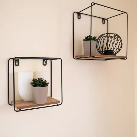 فيلة De Ella إياليسوس